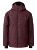 Dare 2b Ski-/snowboardjas "Explorer" pruimkleurig