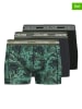 JACK & JONES Junior 3er-Set: Boxershorts "Ezra" in Bunt