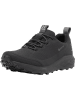 Haglöfs Trekkingschoenen "LIM FH GTX Low" zwart