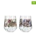 RITZENHOFF 2-delige set: glazen "Schattenfauna'' meerkleurig - 710 ml