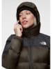 The North Face Daunenjacke in Khaki