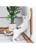 Paws&Whiskers Kratzbrett in Beige - (L)65 x (B)15 cm
