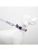 Paws&Whiskers Hondenhalsband meerkleurig