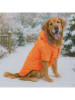Paws&Whiskers Hundehoodie in Orange