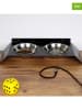 Paws&Whiskers 3tlg. Napfset in Schwarz - (B)50 x (H)6 x (T)20 cm