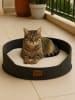 Paws&Whiskers Tierbett ''Robin'' in Grau/ Creme
