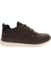 U.S. Polo Assn. Sneakers in Braun