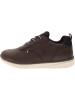U.S. Polo Assn. Sneakers in Braun