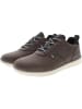 U.S. Polo Assn. Sneakers in Braun