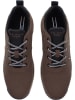 U.S. Polo Assn. Sneakers in Braun