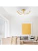 Just Light LED-Deckenleuchte "Melinda" in Gold - (B)64 x (H)25 x (T)25 cm