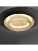 Paul Neuhaus LED-Deckenleuchte "Nevis" in Gold - Ø 50 cm