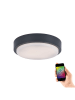 Just Light Lampa sufitowa LED "Q-Lenny" w kolorze czarnym - wys. 7,5 x Ø 36,4 cm