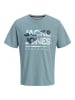 Jack & Jones Shirt "Luke" in Grau