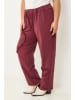 Curvy Lady Broek bordeaux
