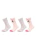 camano 4er-Set: Socken in Weiß/ Rosa