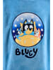 Bluey Hoodie "Bluey" in Hellblau