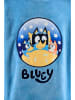 Bluey Hoodie "Bluey" in Hellblau