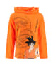 Dragon Ball Longsleeve "Dragon Ball" oranje