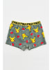 Pokémon 2-delige set: boxershorts "Pokemon" grijs/blauw