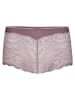 Calida Panty in Rosa