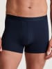 Calida 3er-Set: Boxershorts in Dunkelblau