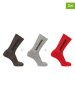 SALOMON 3er-Set: Funktionssocken "Everyday Crew" in Beige/ Braun/ Rot