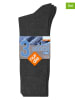 Nur Die 3er-Set: Socken in Anthrazit