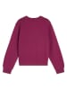 Scotch & Soda Sweatshirt in Lila