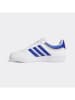 adidas Sneakers "Hoops 4.0" in Weiß/ Dunkelblau
