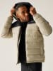 Regatta Steppjacke "Aldthorn" in Beige/ Schwarz