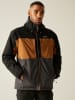 Regatta Übergangsjacke "Maland" in Braun/ Schwarz