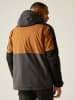 Regatta Übergangsjacke "Maland" in Braun/ Schwarz