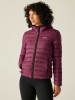 Regatta Kurtka pikowana "Marizion" w kolorze bordowym