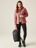 Regatta Steppjacke "Asper" in Rosa