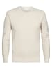 PROFUOMO Pullover in Beige