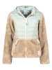 Geographical Norway Fleecejacke "Typologie" in Beige/ Mint