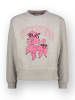 Vingino Sweatshirt "Nirone" in Grau