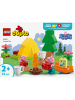 LEGO LEGO® DUPLO®: Campingausflug - ab 2 Jahren