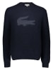 Lacoste Pullover in Dunkelblau