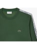 Lacoste Bluza w kolorze zielonym