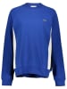 Lacoste Sweatshirt in Blau