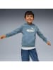 Puma Hoodie in Hellblau