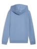 Puma Hoodie in Hellblau
