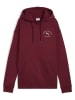Puma Hoodie in Rot
