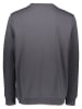 Roadsign Sweatshirt antraciet