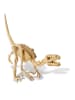 4M Zestaw odkrywcy "Velociraptor" - 8+