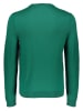 Maerz Muenchen Wollpullover in Grün