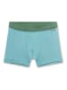 Sanetta 2-delige set: boxershorts lichtblauw/groen