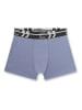 Sanetta 3er-Set: Boxershorts in Bunt